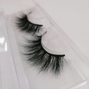 Lash Strips